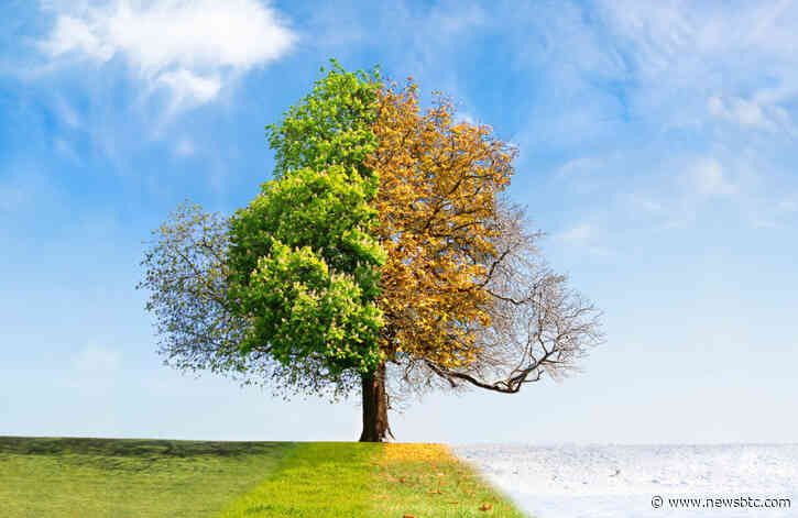 Seasonality in Bitcoin: Will Spring Bring a Return of Growth to Cryptocurrency?