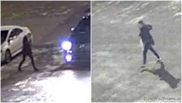 Calgary police seek witnesses in northeast double homicide