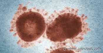 Controversial Group Behind Coronavirus Tracking App Has Crypto Ties