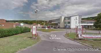 Scammers target families over free school meals during the coronavirus crisis