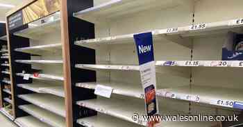 Shop workers at 'breaking point' from abuse by panic-buying customers