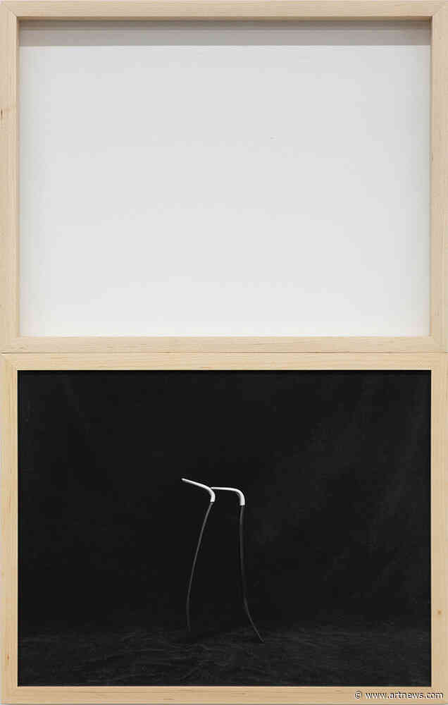 Katherine Hubbard’s Minimal Photographs Render Familiar Subjects Otherworldly