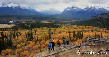 Coronavirus: Rescue groups warn backcountry users to limit risk in Alberta, B.C. mountains
