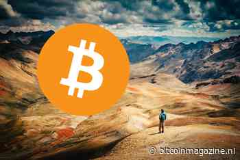 Onderzoek: ‘Bitcoin (BTC) hodlers niet schuldig aan daling van 50%’