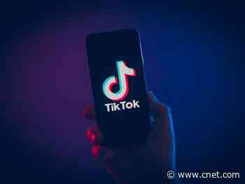 TikTok now has a content advisory panel     - CNET