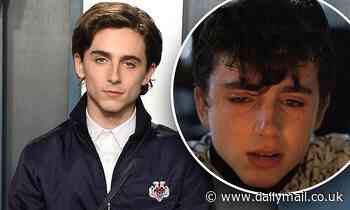 Timothee Chalamet is 'heartbroken' the Italian town he filmed Call Me By Your Name in is on lockdown