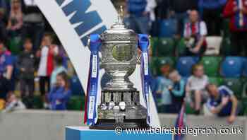 Group set up to guide Irish League clubs through coronavirus crisis
