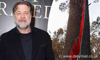 Russell Crowe sends encouraging message to Australia amid COVID-19