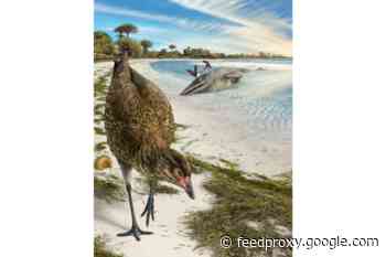 New Fossil is the Oldest Bird Relative Ever Found