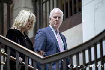 Sen. Cornyn: China to blame for coronavirus, because 'people eat bats'