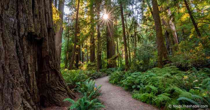Your national parks are *free* during coronavirus