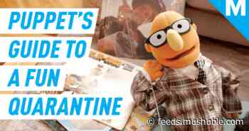A puppet's guide to keeping yourself entertained during a quarantine
