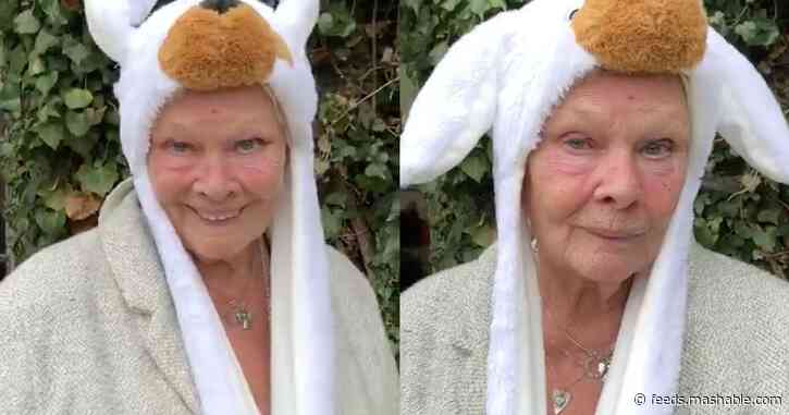 Watch Judi Dench's delightful message for managing these stressful times
