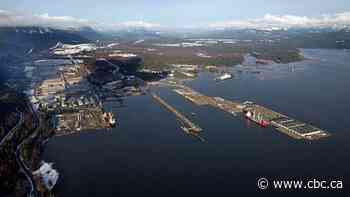 $40B LNG project cuts hundreds of workers to prevent COVID-19 spread in B.C. work camps