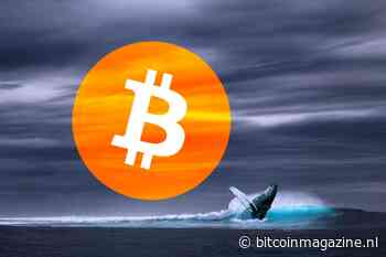 ‘Prijsdump kwam door verplaatsen 712.000 bitcoin (BTC) naar exchanges’