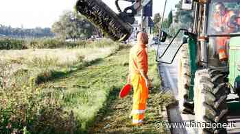 Stop al taglio dell'erba nei parchi pubblici - LA NAZIONE