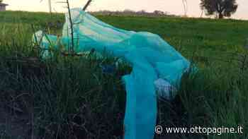 Gettano nell'erba guanti, mascherina e tuta protettiva - Ottopagine