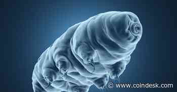 Storj’s Decentralized Cloud Storage Service ‘Tardigrade’ Goes Live