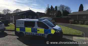 Woman arrested on suspicion of assault after 'family disturbance'