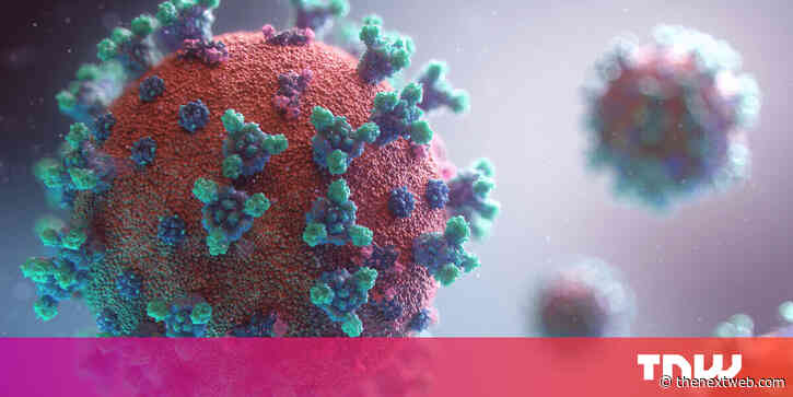 Blood groups — and their antibodies — are being explored to understand immunity to SARS-CoV2