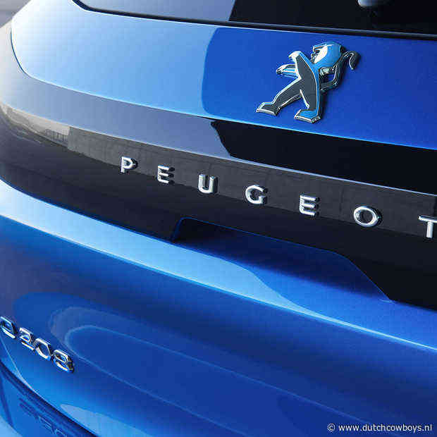 ​De toekomst van elektrisch rijden, we zitten echt in een transitie