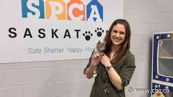 Shelter officials say pandemic perfect time to adopt pet