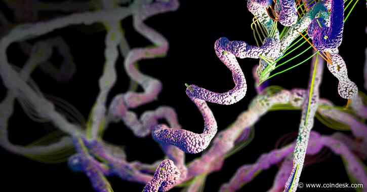 Thousands of These Computers Were Mining Cryptocurrency. Now They’re Working on Coronavirus Research