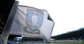 Coaching staff, transfer plans, Director of Football - Sheffield Wednesday Q&A transcript - ExaminerLive