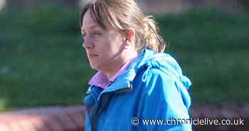 Hapless friends embark on shoplifting and petrol-stealing spree