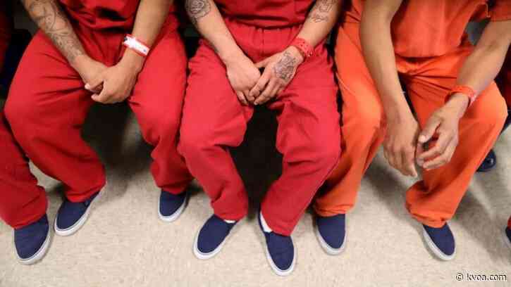 Migrant dies by apparent suicide in Houston ICE family detention center