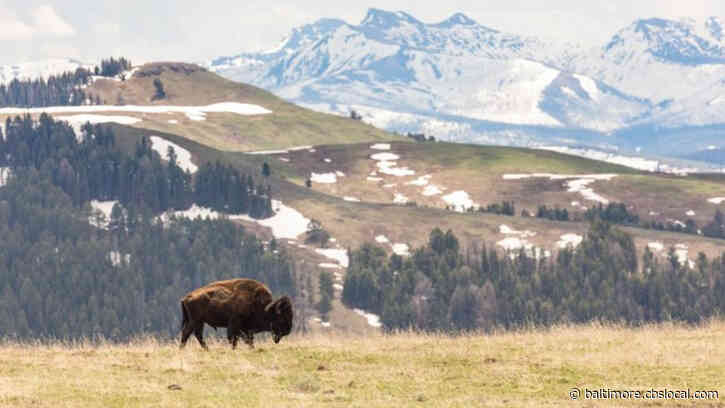 National Park Service Suspends Entrance Fees During Coronavirus Outbreak To Aid Social Distancing