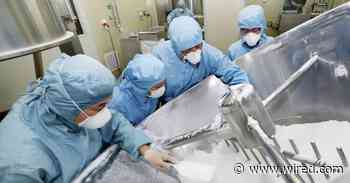 Chloroquine May Fight Covid-19—and Silicon Valley's Into It