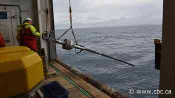 Scientists discover new chlamydia-related bacteria deep under Arctic Ocean floor