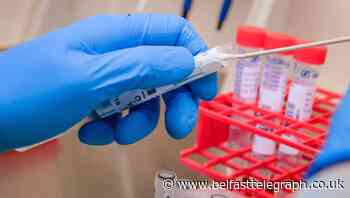 Scientists explore cheap anti-malaria drug in search for coronavirus treatment
