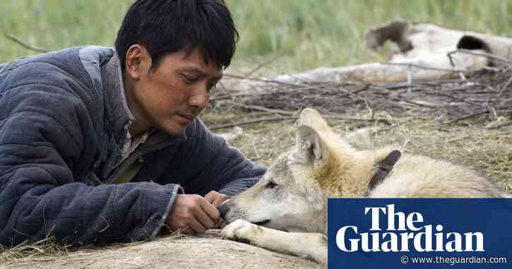 Harry Potter and A Dog's Journey: Chinese cinemas detail plans to lure back audiences after coronavirus