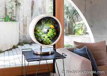 NASA inspired indoor garden