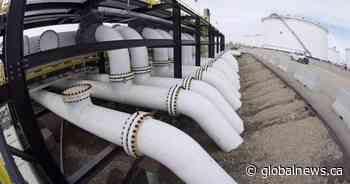 Producers advised to spend nothing on drilling as oil price hovers at US$25 amid COVID-19 pandemic