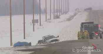 2 people killed in highway crash east of Calgary: police - Global News