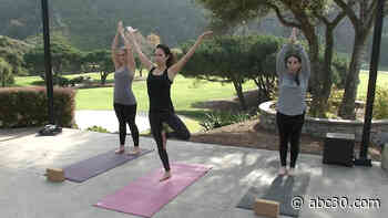 Rejuvenate Your Mind at the Pathway to Zen