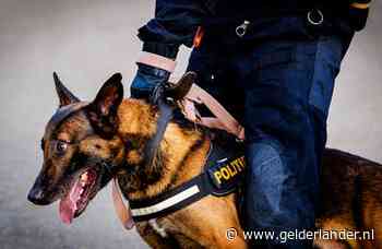 Politie bekijkt of er sprake is van dierenleed bij training politiehonden