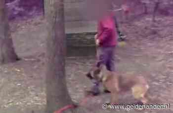Schokkende beelden: politiehonden zwaar mishandeld door trainers in de Achterhoek