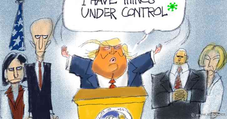 Bagley Cartoon: Trump Briefing Footnote