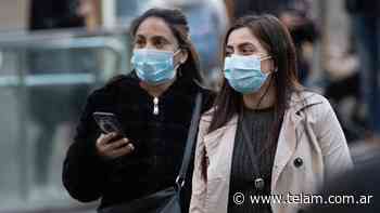 Detectan 15 nuevos casos en la provincia de Buenos Aires y son 38 los afectados - Télam