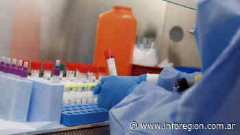 Coronavirus: Detectan un nuevo caso en provincia de Buenos aires y son 17 los afectados - InfoRegión