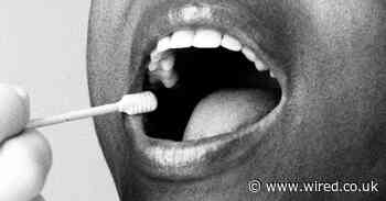 England’s muddled coronavirus testing is leaving key workers scared and alone