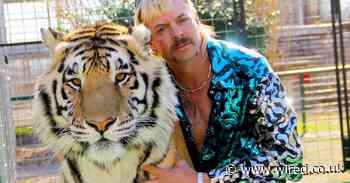 Netflix’s Tiger King is the true crime release we need right now
