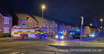 Grandfather who died in crash has been named