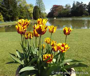 Burnby Hall Gardens to remain open during coronavirus pandemic