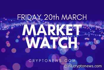 Bitcoin en Altcoins winnen bullish momentum, markt stijgt met 20%