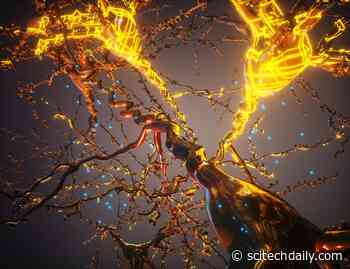 Stanford Scientists Genetically Reprogram Cells to Build Artificial Structures